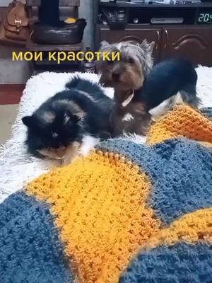 A post by @lovelywifemothergranny on TikTok caption: рекомендации#