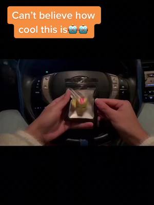 A post by @giannadgdf0451 on TikTok caption: Can’t believe how cool this is#fyp #fypシ #fypage #fypシ゚viral #cars #car #carsoftiktok