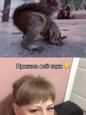 A post by @ksiusha.1 on TikTok caption: #дуэт с @hobopeeba