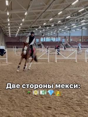 A post by @smoothies.life_horses on TikTok caption: ||• скоро сделаю такое же видео с жёлтиком)💗🐎🫐❄️