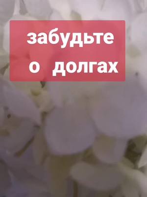 A post by @elenatikhomirov1 on TikTok