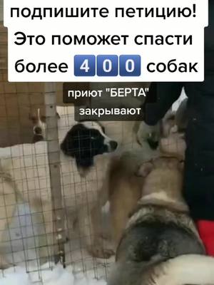 A post by @berta.priyut on TikTok caption: ссылка на петицию в описании тик ток аккаунта #репост #животные #рек #собака #собаки #приют #помощь #приютдляживотных #рекомендации