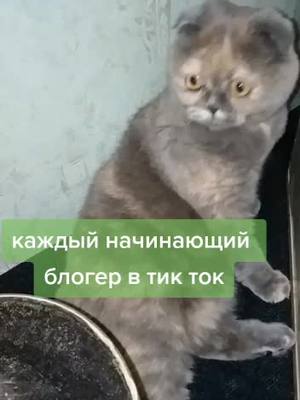 A post by @sofik_kotya on TikTok caption: #деньги #зп #работа