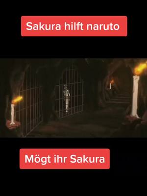 A post by @animeking0311 on TikTok caption: #LinkBudsNeverOff #sakura#naruto#viral #fy #fy #fy #fy #fy #fy @dxdxx187 @london_189_ @narutoking.031 @animegerdub123 @prokiller9988