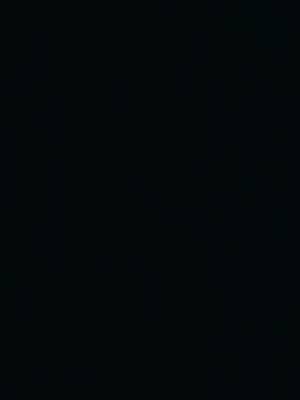 A post by @alexino59 on TikTok