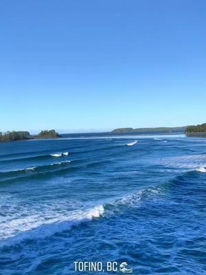 A post by @emilykatherineann on TikTok caption: #tofinobc #tacofino #coxbaylookout #pacificsandsbeachresort #rhinocoffee #travel #Hiking #bronut #beautifulbritishcolumbia #canada #ocean #tofino