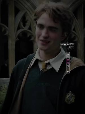 A post by @ahmxlfoy on TikTok caption: I like your style #fyp #potterheadsoc #pqttahgrp #reducto_soc #foryou #cedricdiggory #MakeItGucci