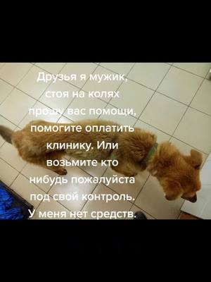 A post by @ruslan246801 on TikTok caption: #репост #помощь #рекомендации #рек #врекомендации