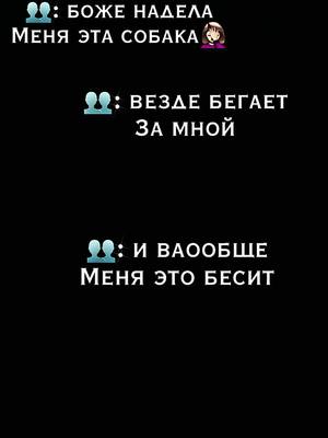 A post by @nord744 on TikTok caption: 🐾❤️‍🩹#врекомендации #врекомендации #врекомендации #врекомендации #врекомендации