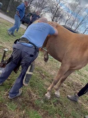 A post by @thehorsefarrier on TikTok