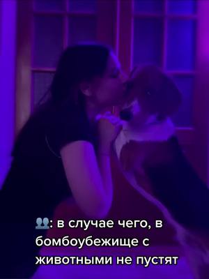 A post by @graff.dogs on TikTok caption: #нетвойне #fyp #fypシ