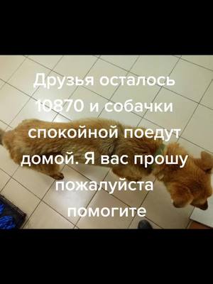 A post by @ruslan246801 on TikTok caption: #комендации #репост #рек #врекомендации