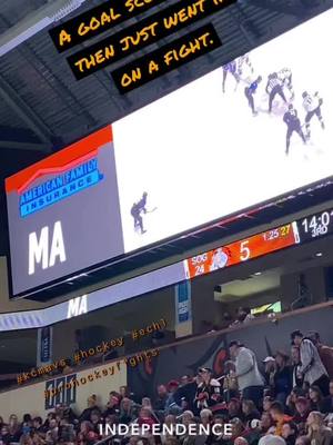 A post by @deeandramargarett on TikTok caption: Hockey is the best sport.🥅🏒⛸ Sorry not Sorry.🤷🏼‍♀️ Great win tonight! @KC Mavericks #kcmavericks #echl #kansascity #prohockey #fypシ #newbestie