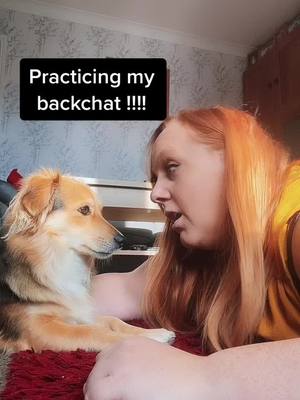 A post by @happylou42 on TikTok caption: #backchat #attitude #badattitude #fighter #fight #dogs #dogsofttiktok #puppy #puppylove #puppies #puppiesoftiktok #fyp #trend