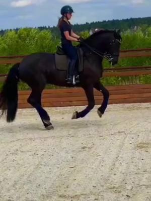 A post by @_equestrian_estetik_ on TikTok caption: Давайте в рекииии #AvonПодаркиВсем #фигурноекатание #мызароссию #жизньсконями #конкур #вреки#реки