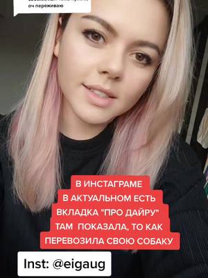 A post by @eigaug on TikTok caption: Ответ пользователю @annsh113 инст: @eigaug ##перевозкасобак #полетссобакой #овчарка #самолет #собакавсамолете