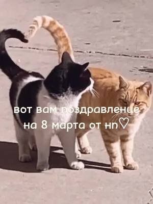 A post by @fan_drug_addict_ich on TikTok caption: пх🥺 #петровичикраши #путинтоп #эдисон #можноврек #рекомендации #edison_fan3