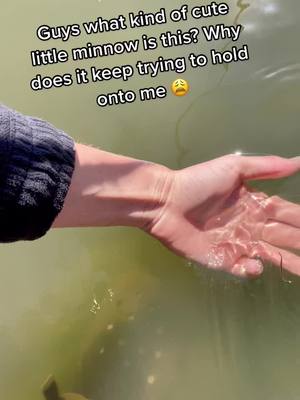 A post by @ on TikTok caption: It keeps giving me little pinch kisses #leech#fish#fishing#creature#help#unknown#alien#mysterious#mystery#animal#water#fear#worm