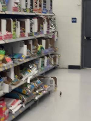 A post by @caffeinecreates on TikTok caption: Oh to be a smol birb in the seed isle of Walmart #bird #walmart #shopping #fyp