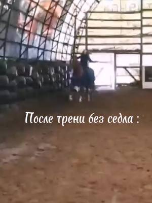 A post by @_kono.blog_ on TikTok caption: На чиле, на расслабоне #equestrian #конныйспорт #русскийрысак #пегас #horses #рыжий #любовь #игорь #loveme #безседла #тренировки #начиле #нарасслобоне