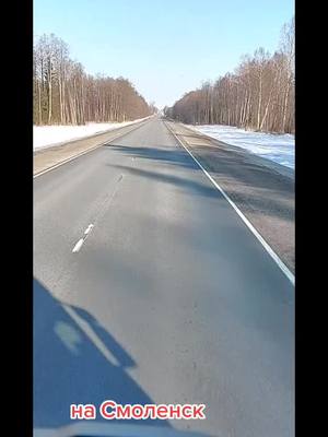 A post by @igor71igor on TikTok caption: #SCANIA #едем в Смоленск 2.03.22 #SCANIA