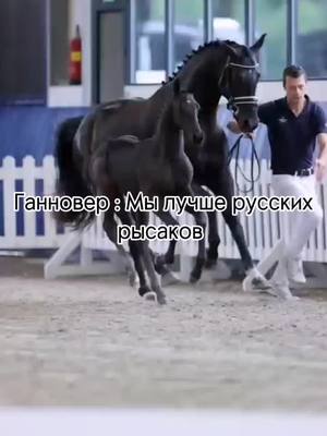 A post by @aasbgp on TikTok caption: моё сердце одано им, а ваше кому? #конныйспорт #gr #horse #fryp #fryp #русскийрысак #alyona_h