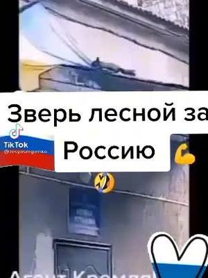 A post by @marinaz22rus on TikTok caption: #россия