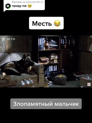 A post by @_pes_and_maks_ on TikTok caption: Відповідь на коментар @h1mi_8 видео будет мало нет настроение в такое не лёгкое время 💔#пес #гнездилов #мальчик #спасибозаактив #насскоро100к#СериалПес