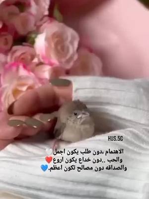 A post by @riman12a on TikTok caption: #اكسبلوووور #خواطر #اكسبلور