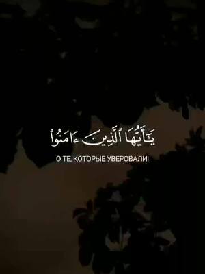 A post by @by_tauhid on TikTok caption: «Когда читается Коран, то слушайте его и храните молчание, - быть может, вас помилуют » (сура аль-Араф 204).» #quran