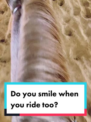 A post by @informedequestrian on TikTok caption: Who was happier to be back to training?! #horsebackriding #ranchriding #reining #quarterhorse #horse