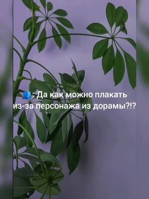 A post by @_dorama_a_ on TikTok caption: @vvvv.bb.v держи))