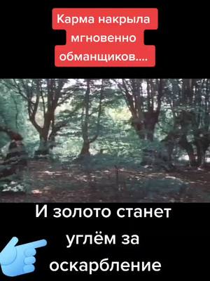 A post by @www.tiktok.com_zolo on TikTok caption: #После дождичка в четверг