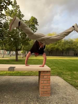 A post by @dominick_hughes on TikTok caption: Sick #fyp #freerunning