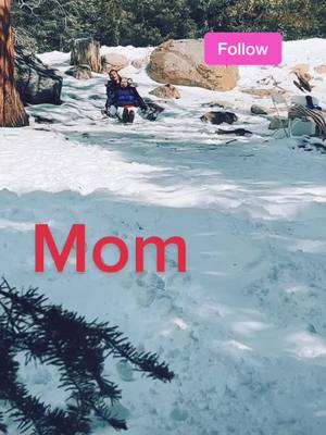 A post by @villa0517 on TikTok caption: #mom #fun #day #freind#family#muypegriloso