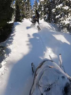 A post by @mikeaugust_ on TikTok caption: Had an awesome weekend chasing friends through trees, touring around brandywine and even got to get a couple hits in along the way🤘#turbo850 #sledtok #skidoo #turbo @509inc @cheetah_snow