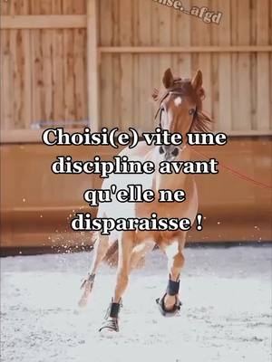 A post by @elise._afgd on TikTok caption: #fypシ #fyp #fyppage #pourtoi #viral #trend #horse #pferd #horseriding #equestrian #equitation #DisneylandParisChallenge #equestrianedits #capcut