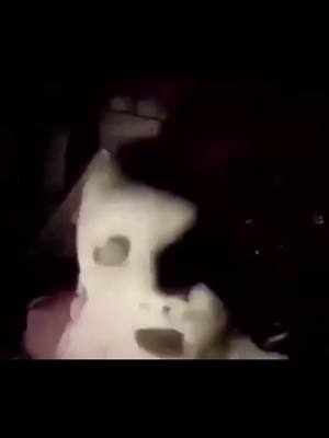 A post by @terrorificooo on TikTok caption: Responder a @abril_pndja #fyp #terror #miedo #doll #chismesito_jsjs