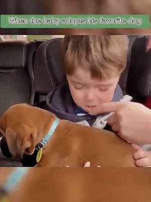 A post by @mbbvcx222 on TikTok caption: #greenscreenvideo #foryou #dog #cute #Love