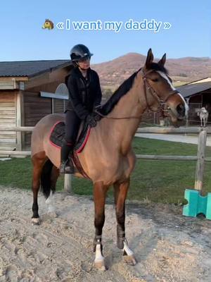 A post by @_oceane_pbd on TikTok caption: Arko III #fyp #horse #trend