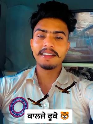 A post by @jass__inder45 on TikTok caption: ਸੱਚੀਆ ਗੱਲਾਂ #jass_inder54🦅 #jass_indsr45 #jass_inder🦅 #punjabi #jatt #jattlife