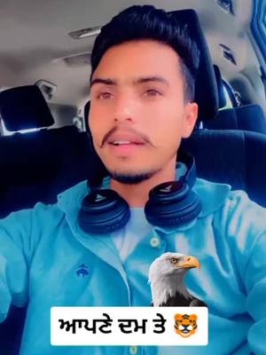 A post by @jass__inder45 on TikTok caption: #punjabi #punjabi #jattlife #jatt #jass_inder🦅 #jass_inder54🦅 #jass_indsr45 ਸੱਚੀਆ ਗੱਲਾਂ