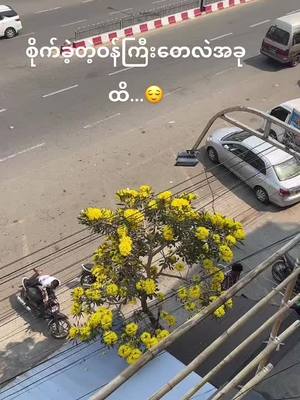 A post by @nilarqueen on TikTok