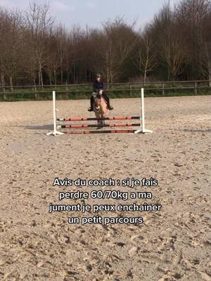 A post by @lez_a_cheval on TikTok caption: #equitation #saut #horse #poney #cheval