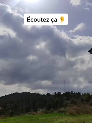 A post by @centrespineboard on TikTok caption: Écoutez ça 😵