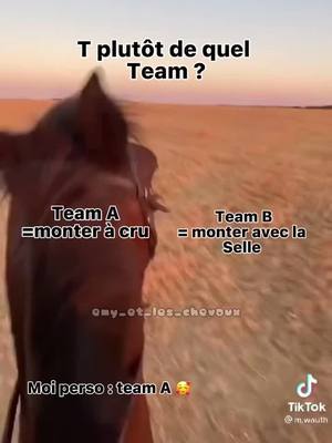 A post by @emy_et_les_chevaux on TikTok caption: Alors ??🥰🥰🐴🍒❤️‍🔥🧡🤍#chevalpassion#cheval#pourtoi