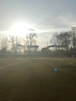 A post by @paolaginazangi on TikTok caption: #tiktokrugby #sportazzurro @federugby