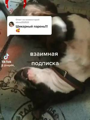 A post by @cega86_ on TikTok caption: Ответ пользователю @alena252523