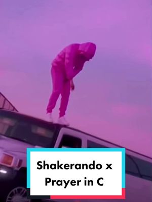 A post by @michelecaponioo on TikTok caption: Shakerandooo #mashup #perte #remix #fyp #rhove #shakerando