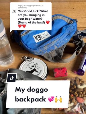 A post by @alltherifraf on TikTok caption: Reply to @beggingdreams  Hope this helps!! (More details in comments) 💛 #dogrucksack #backpackingdog #hikingwithdogs #mydogismybestie